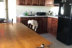 lodge-apartment-kitchen